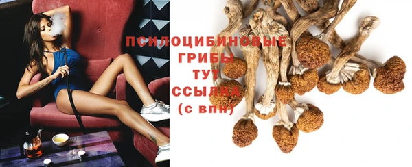мдпв Медвежьегорск