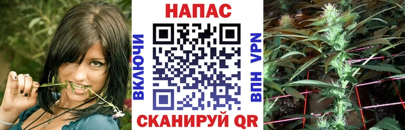 Конопля гибрид  продажа наркотиков  Сибай 